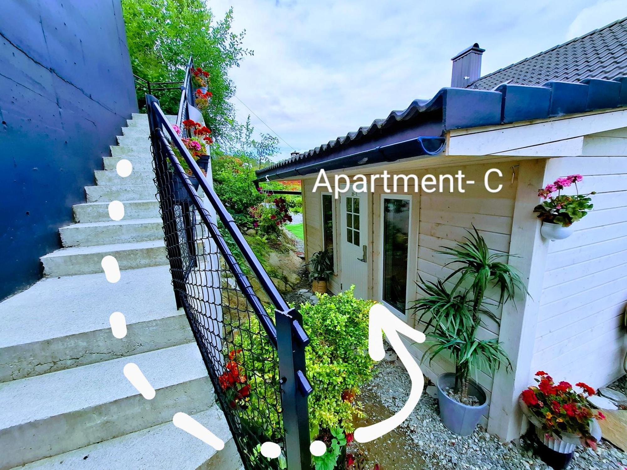 Bergen Sunrise Terrace Apartment Kültér fotó